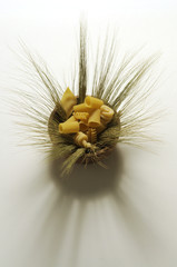 Pasta cruda con spighe