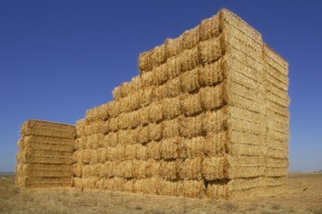 Cereal barn with square shape stack on columns
