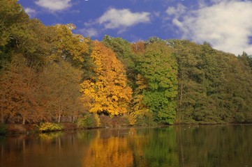 Fototapeta na wymiar Herbstwald am See