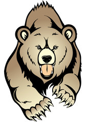 Brown Bear Vector