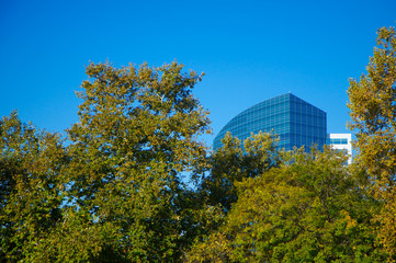 Modern building framed by trees