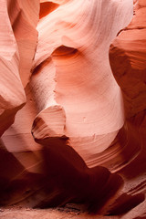 Slot Canyon Organic Texture