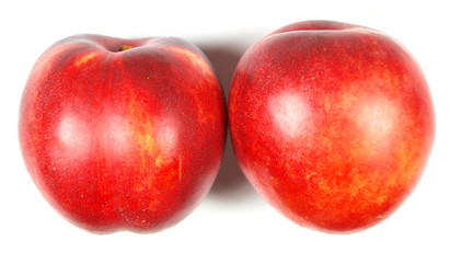Nectarines isolated on white