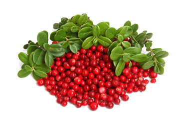 Cranberries