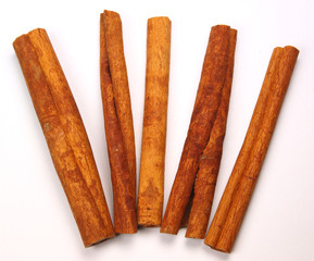 Cinnamon bark isolated on white
