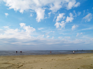 Fototapeta na wymiar low tide tideland