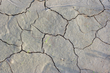 terre humide