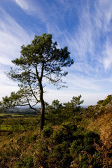 view of a small mountain in brittany