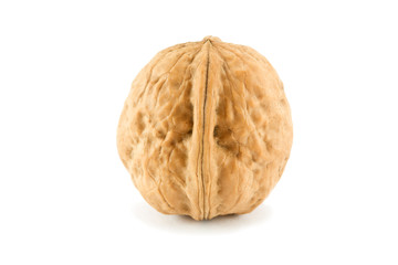 Walnut isolated on white