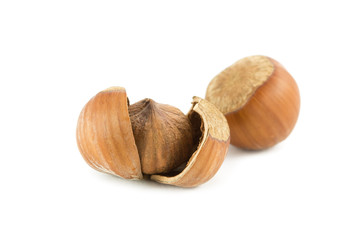 Cracked Hazelnuts isolated on white