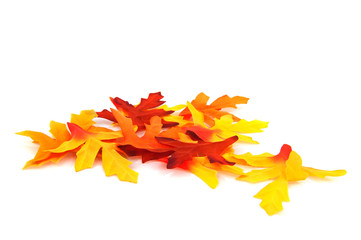 autumn leaves
