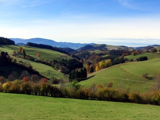 Fototapeta na wymiar Autumn imSchwarzwald w St Margen