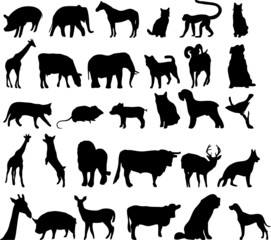 Vector silhouettes of differente animals