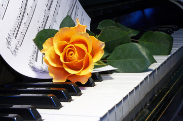 rose on  musical note