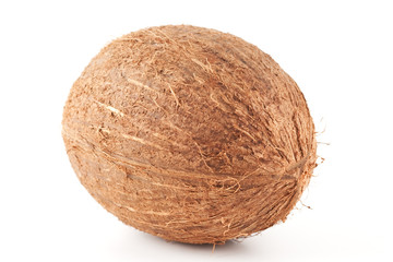 Isolated coconut on white background