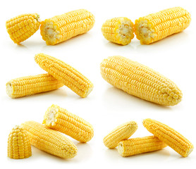 Set of Ripe Yellow Corn Isolated on White