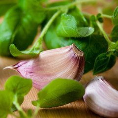 Close up of garlic and fresh oregano