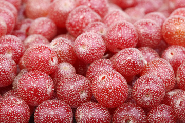 Background from a sea-buckthorn