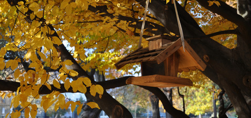 Birdhouse in Autumn