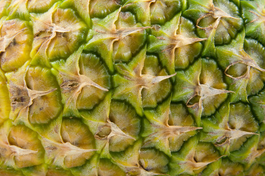 The peel of pineapple in closeup