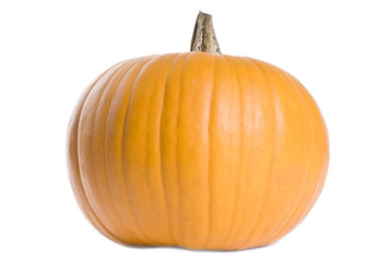 Big Pumpkin Isolated on White