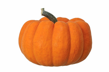 Isolated Pumpkin