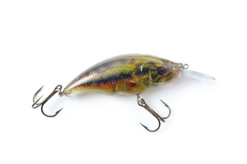 Fishing bait in the shape of real small fish