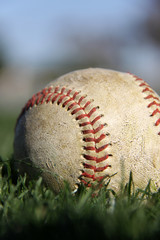 baseball on field