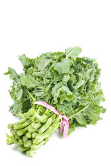 Bunch of Rapini Isolated on White