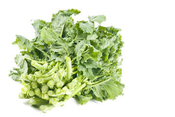 Bunch of Rapini Isolated on White