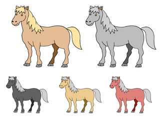 five colored horse