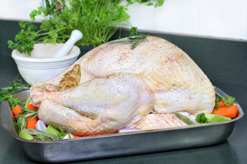 Raw turkey, dressed and ready to go into the oven. © RoJo Images