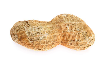 Roasted Peanut