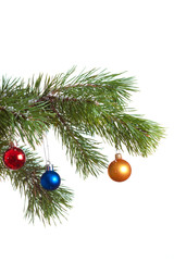 Obraz na płótnie Canvas Christmas fir isolated