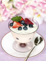 Fruit Yogurt