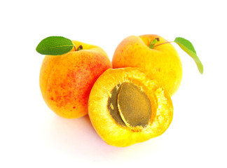 apricots
