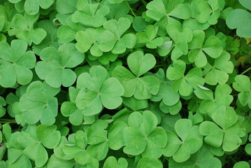 La chance est-elle avec vous?