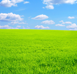 Obraz premium Beautiful landscape