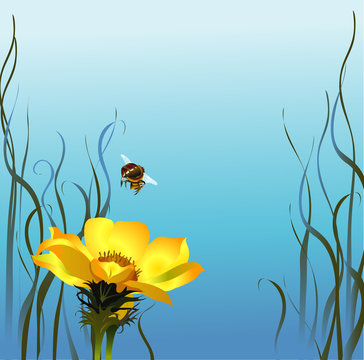Bee & flower