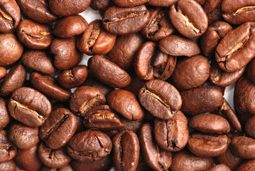 Fototapeta premium coffee bean