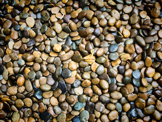 pebble