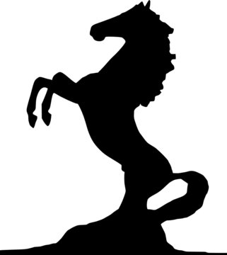 cavalo