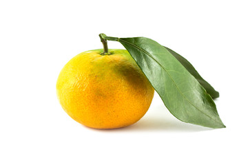 Tangerine isolated on pure white background