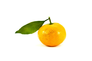 Tangerine isolated on pure white background