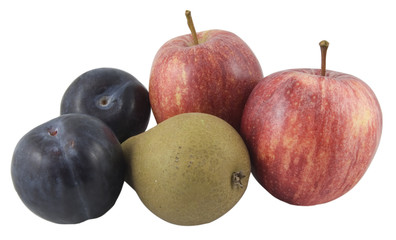apples, pear and plumbs isolated on white background