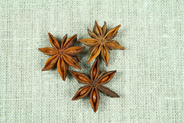 Aniseed on flax