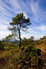 view of a small mountain in brittany