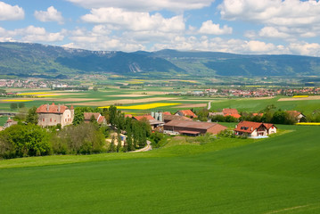 Spring landscape (Switzerland)