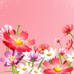 Obraz na płótnie Canvas Flower Background 14