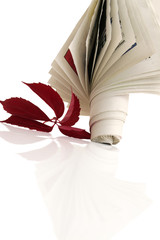Journal et Ffeuilles d'automne